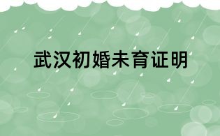 武漢初婚未育證明