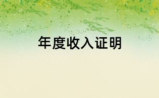 年度收入證明