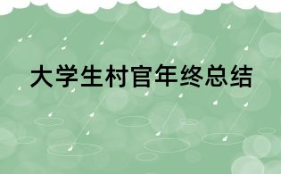 大學生村官年終總結(jié)