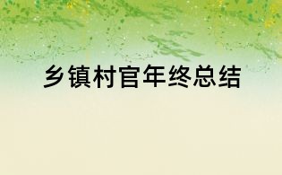 鄉(xiāng)鎮(zhèn)村官年終總結