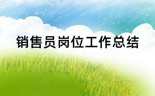 銷售員崗位工作總結