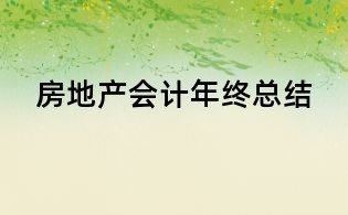 房地產會計年終總結
