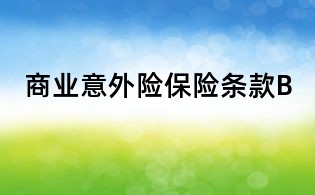商業(yè)意外險保險條款B
