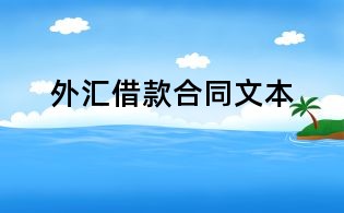 外匯借款合同文本