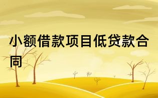 小額借款項目低貸款合同