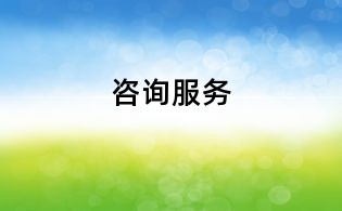 咨詢服務