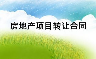 房地產(chǎn)項(xiàng)目轉(zhuǎn)讓合同