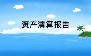 資產清算報告