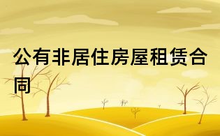 公有非居住房屋租賃合同