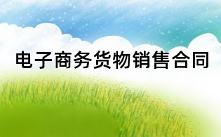 電子商務(wù)貨物銷(xiāo)售合同