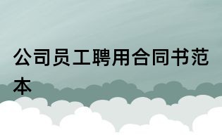 公司員工聘用合同書范本