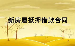 新房屋抵押借款合同