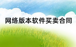網(wǎng)絡(luò)版本軟件買(mǎi)賣(mài)合同