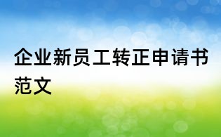企業新員工轉正申請書范文