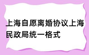 上海自愿離婚協議上海民政局統一格式
