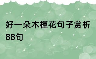 好一朵木槿花句子賞析88句