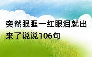 突然眼眶一紅眼淚就出來了說說106句