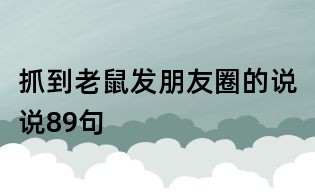 抓到老鼠發(fā)朋友圈的說說89句