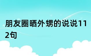 朋友圈曬外甥的說(shuō)說(shuō)112句