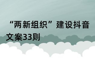 “兩新組織”建設抖音文案33則