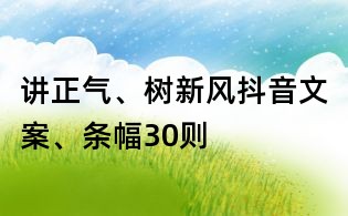 講正氣、樹新風抖音文案、條幅30則