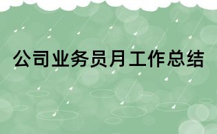 公司業務員月工作總結