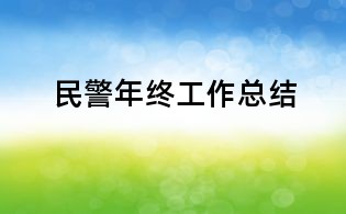 民警年終工作總結