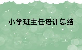 小學班主任培訓總結