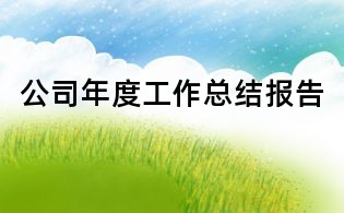 公司年度工作總結報告