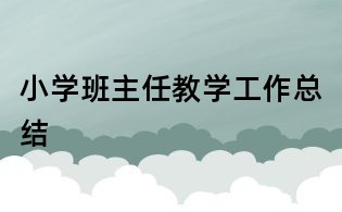 小學班主任教學工作總結