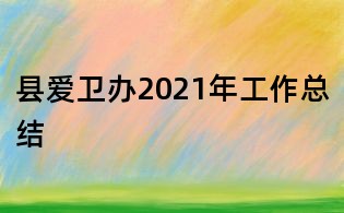 縣愛衛辦2021年工作總結