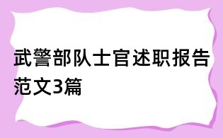 武警部隊士官述職報告范文3篇