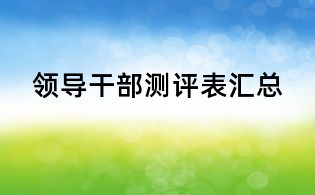 領(lǐng)導(dǎo)干部測(cè)評(píng)表匯總