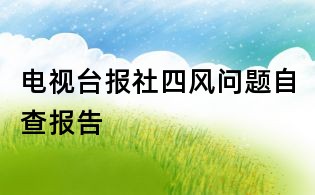 電視臺報社四風問題自查報告