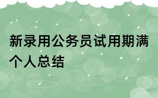 新錄用公務(wù)員試用期滿個人總結(jié)