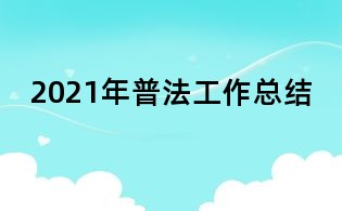 2021年普法工作總結