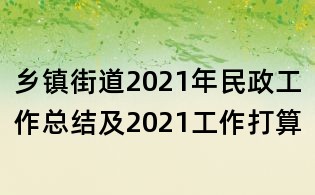 鄉鎮街道2021年民政工作總結及2021工作打算