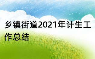 鄉(xiāng)鎮(zhèn)街道2021年計(jì)生工作總結(jié)