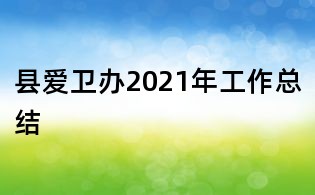 縣愛衛辦2021年工作總結