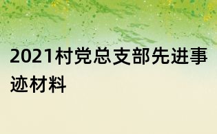 2021村黨總支部先進事跡材料