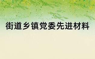 街道鄉鎮黨委先進材料