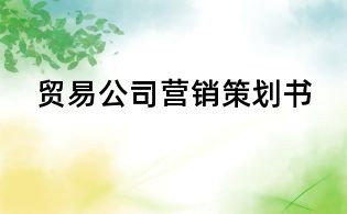 貿易公司營銷策劃書