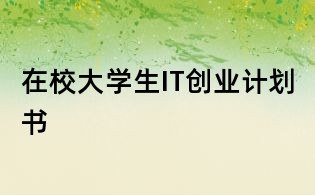 在校大學生IT創業計劃書