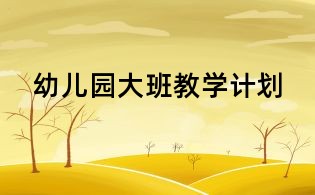 幼兒園大班教學計劃