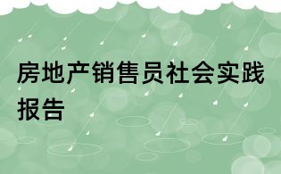 房地產(chǎn)銷售員社會實踐報告