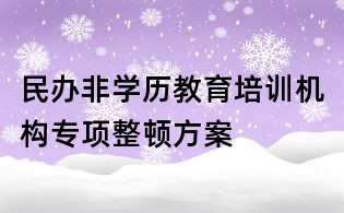 民辦非學(xué)歷教育培訓(xùn)機(jī)構(gòu)專項(xiàng)整頓方案