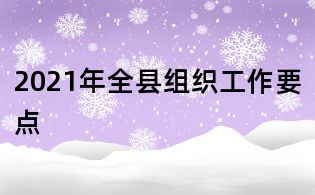 2021年全縣組織工作要點