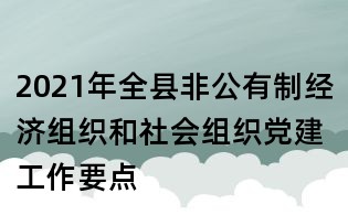 2021年全縣非公有制經濟組織和社會組織黨建工作要點