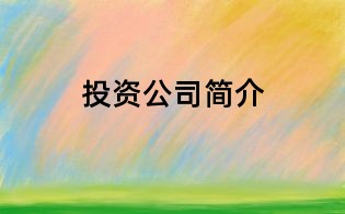 投資公司簡介