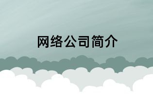 網絡公司簡介